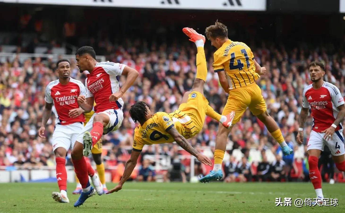 能够帮助从 能够帮助从